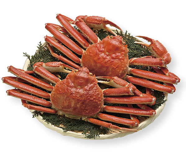 株式会社リョーウン RYOUN 事業内容 商事部 ギフト商品